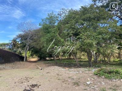 Terreno en venta en Jinotepe, Carazo – 55,368 varas²