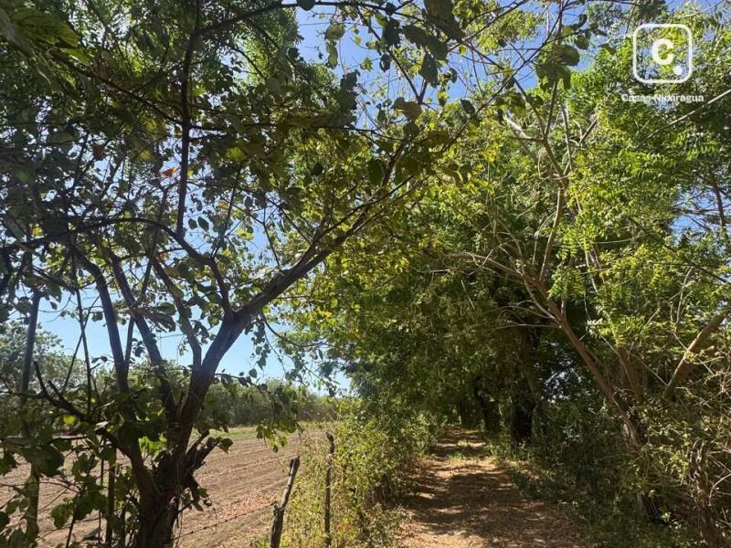 Casa en venta en León – 2 hab