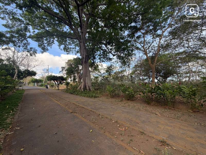 Apartamento en venta en Managua – 4,311 m²