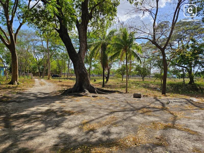 Casa en venta en Carretera Norte, Managua – 36,781 m²