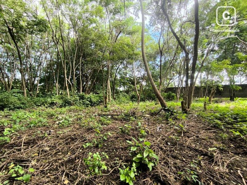 Casa en venta en Managua – 2,376 m²