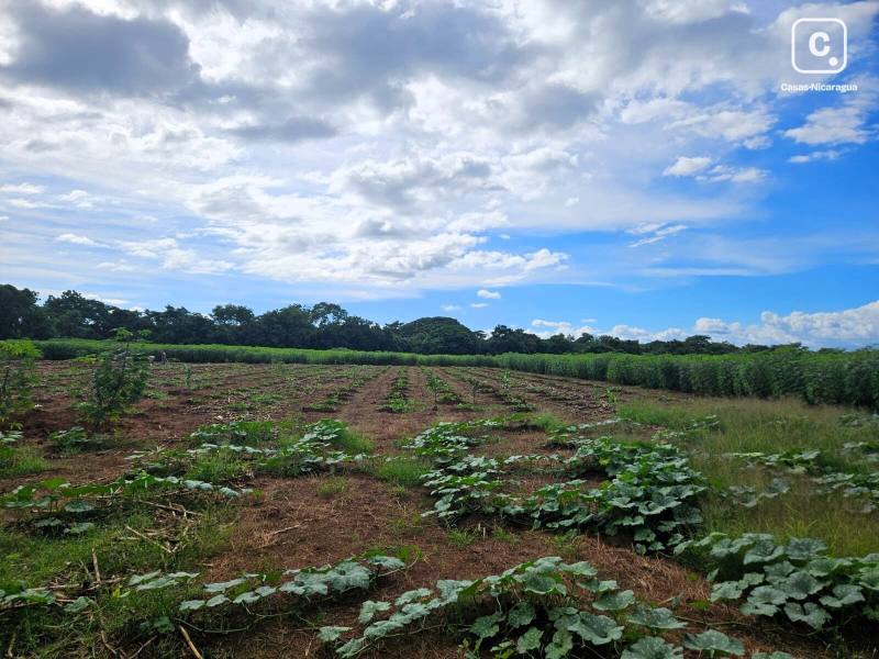 Bodega en venta en Masaya – 66,626 m²