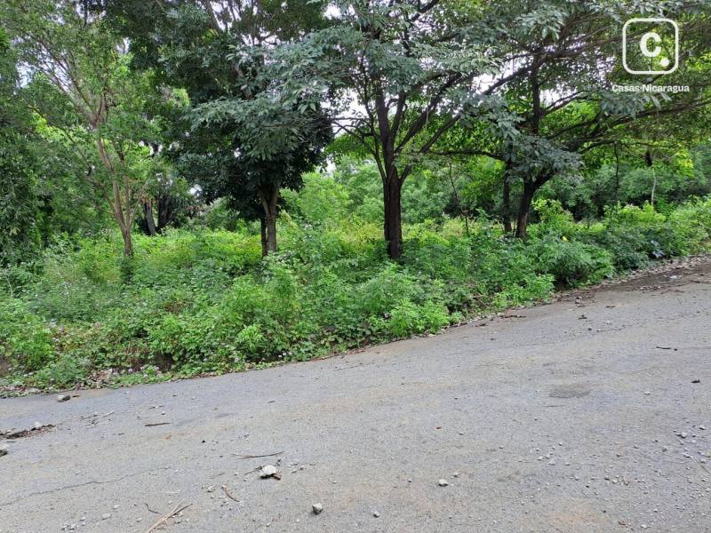 Casa en venta en Managua – 1,449 varas²