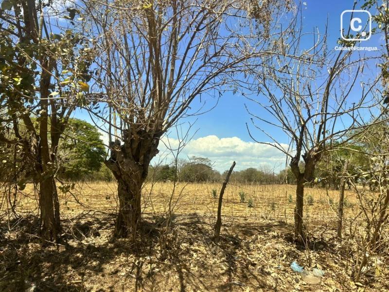 Bodega en venta en Masaya – 155,993 varas²