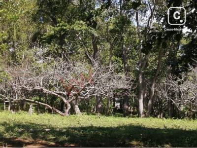 Terreno en venta en Masaya – 32,108 varas²