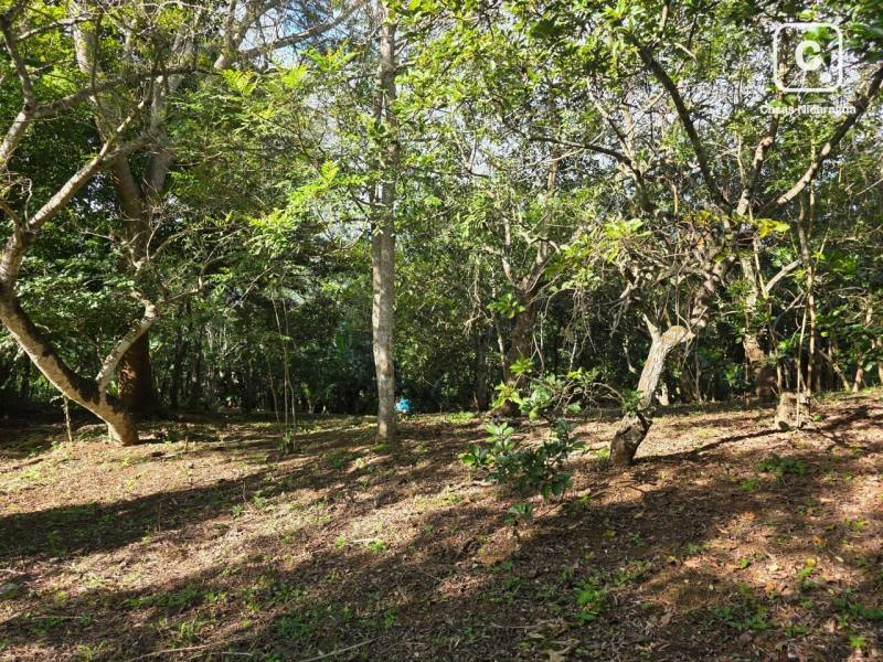 Casa en venta en Masaya – 10,860 m²