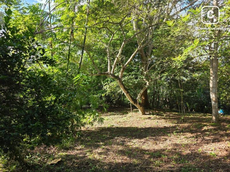 Terreno en venta en Masaya – 15,544 varas²