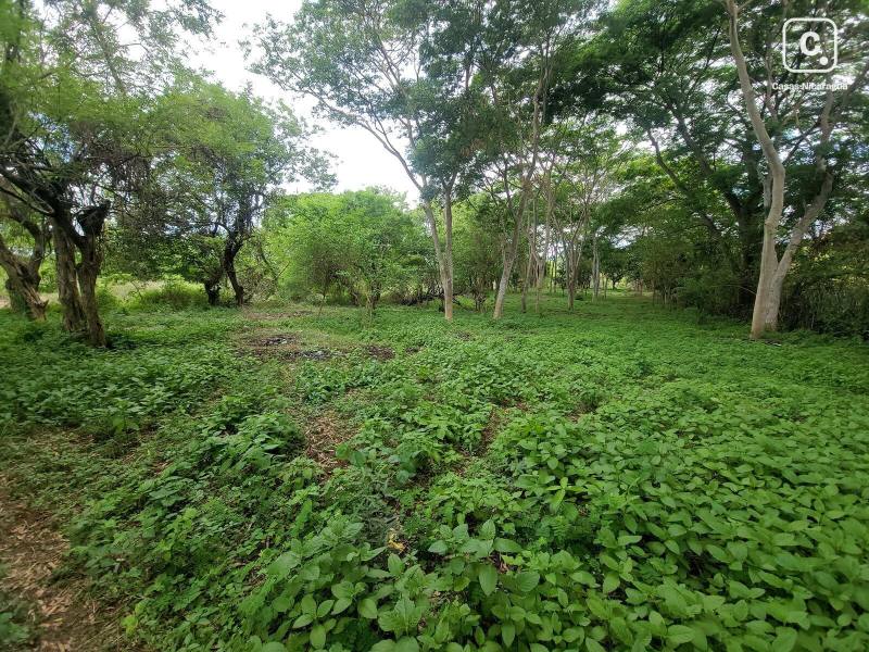Casa en venta en Ticuantepe, Managua – 7,050 m²