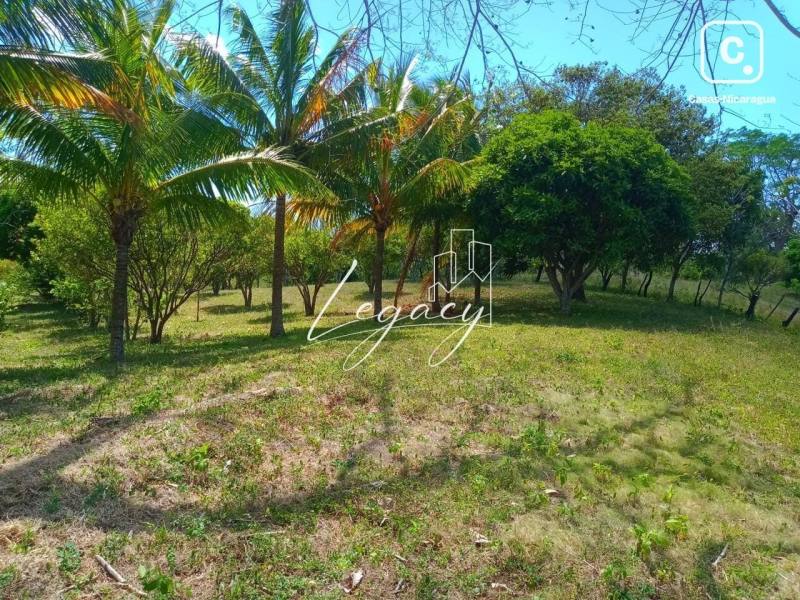 Finca en venta en Niquinohomo, Masaya – 28 varas²