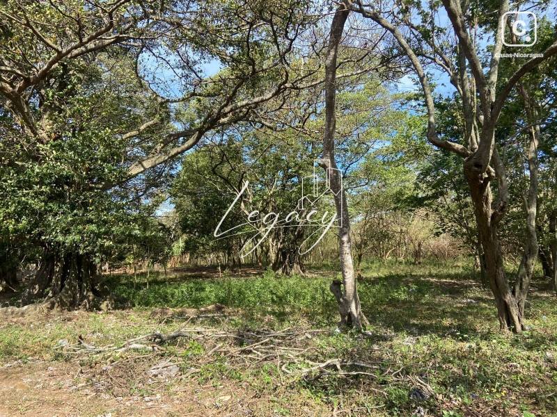 Terreno en venta en Jinotepe, Carazo – 55,368 varas²