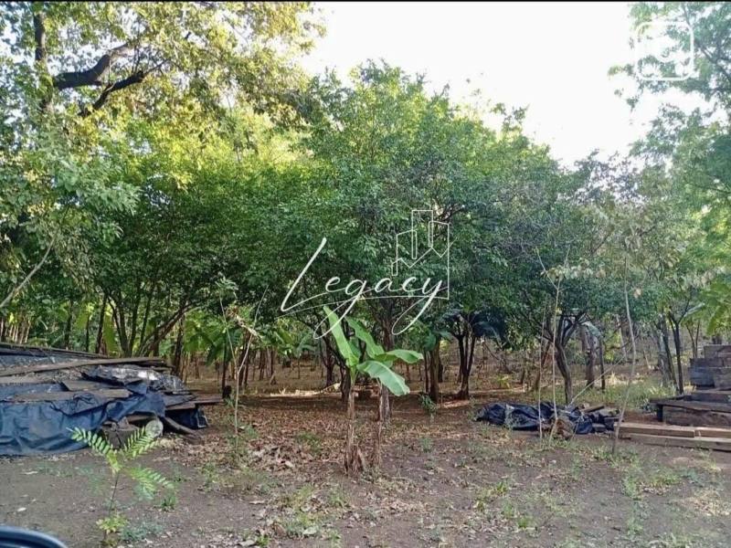 Terreno en alquiler en San Isidro de Bolas, Managua – 572 varas²