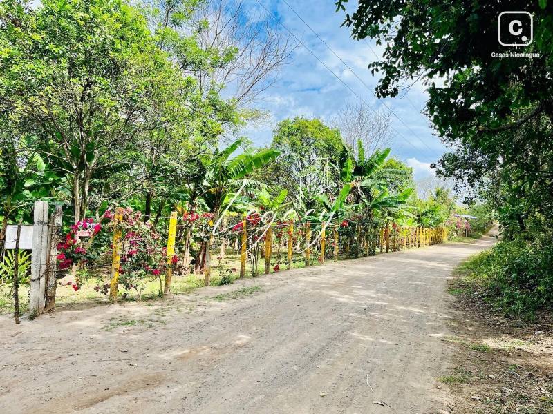 Terreno en venta en Niquinohomo, Masaya – 8,113 varas²