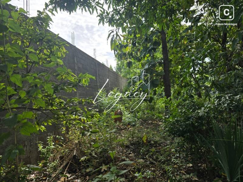 Terreno en venta en El Mayoreo, Managua – 600 varas²