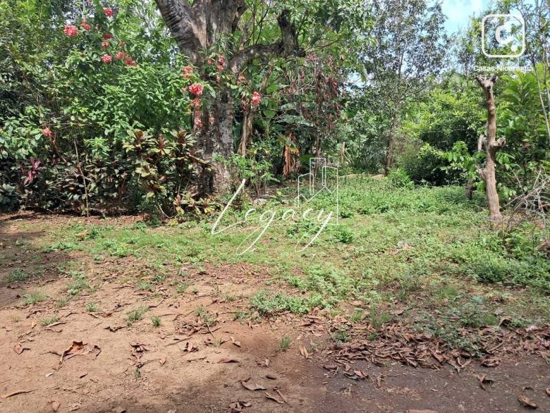 Terreno en venta en Santo Domingo, Managua – 8,374 varas²