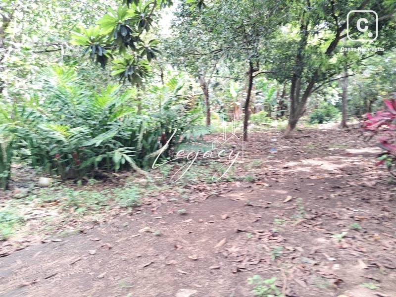 Terreno en venta en Santo Domingo, Managua – 8,374 varas²