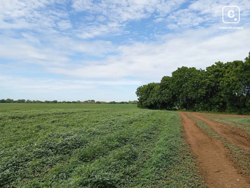 Bodega en venta en Tipitapa, Managua – 541,999 m²