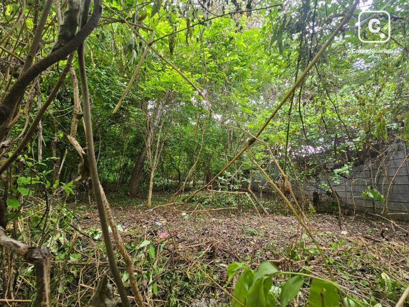 Terreno en venta en Masaya – 2,052 m²