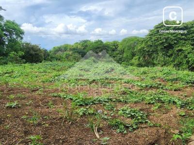 Terreno en venta en San Isidro de Bolas, Managua – 500 m²