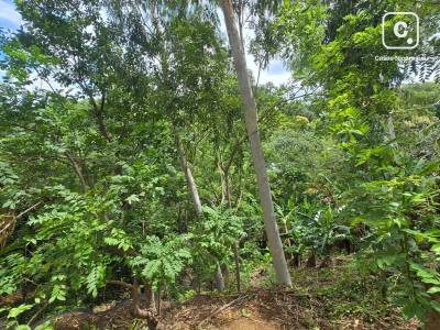 Terreno en venta en San Isidro de Bolas, Managua – 2,235 m²