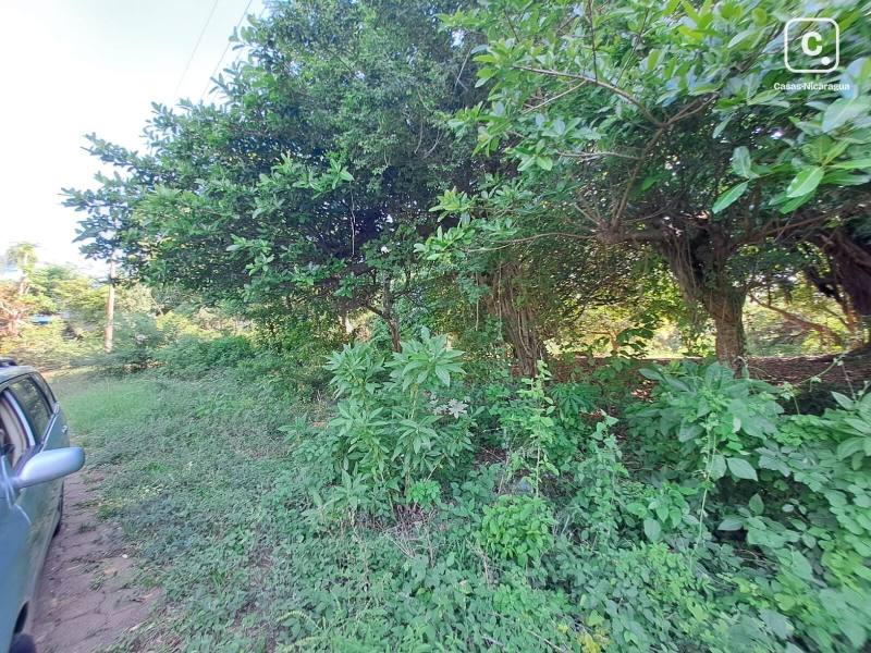 Casa en venta en Managua – 2,411 m²