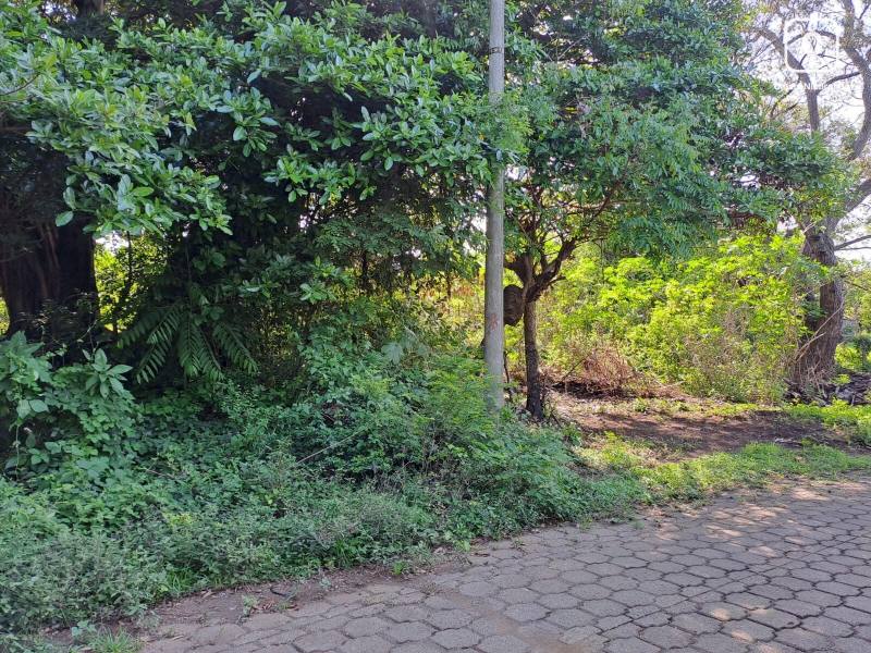 Casa en venta en Managua – 3,451 varas²