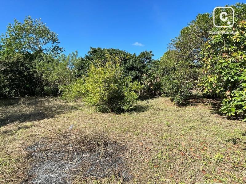 Terreno en venta en Diriomo, Granada – 5,046 varas²