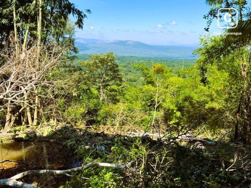 Terreno en venta en Masaya – 95,858 varas²