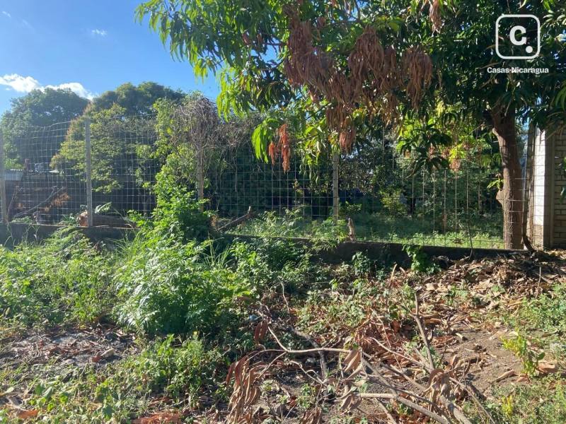 Bodega en venta en Managua – 1,459 varas²