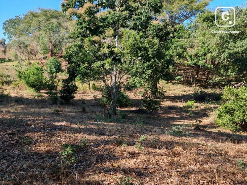 Casa en venta en Managua – 22,700 m²