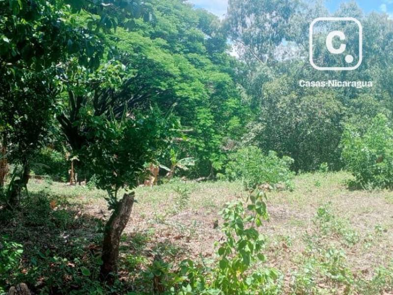 Casa en venta en Managua – 2,824 varas²
