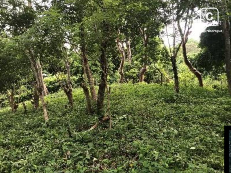 Casa en venta en Managua