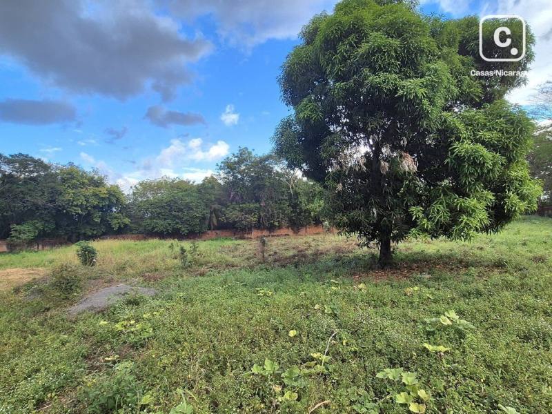 Terreno en venta en Managua – 10,134 varas²