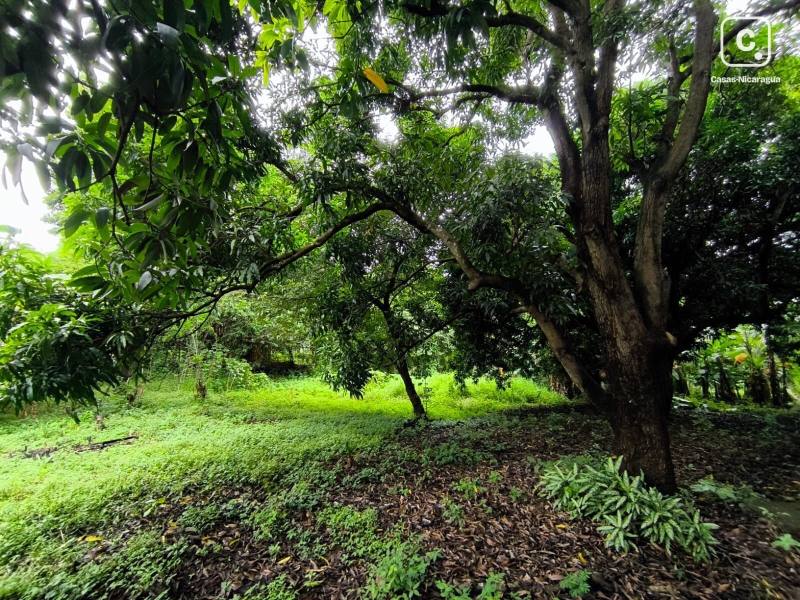 Casa en venta en Carretera Sur, Managua – 647 m²