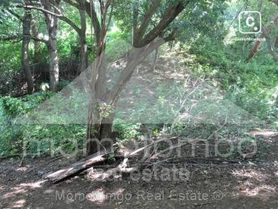 Terreno en venta en Villa Fontana Sur, Managua – 3,700 varas²
