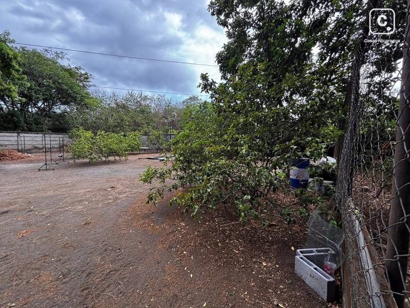 Bodega en alquiler en Managua – 352 m²