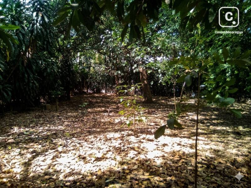 Terreno en venta en Crucero, Managua – 2,360 varas²