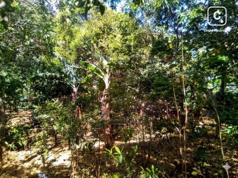 Terreno en venta en Crucero, Managua – 2,360 varas²