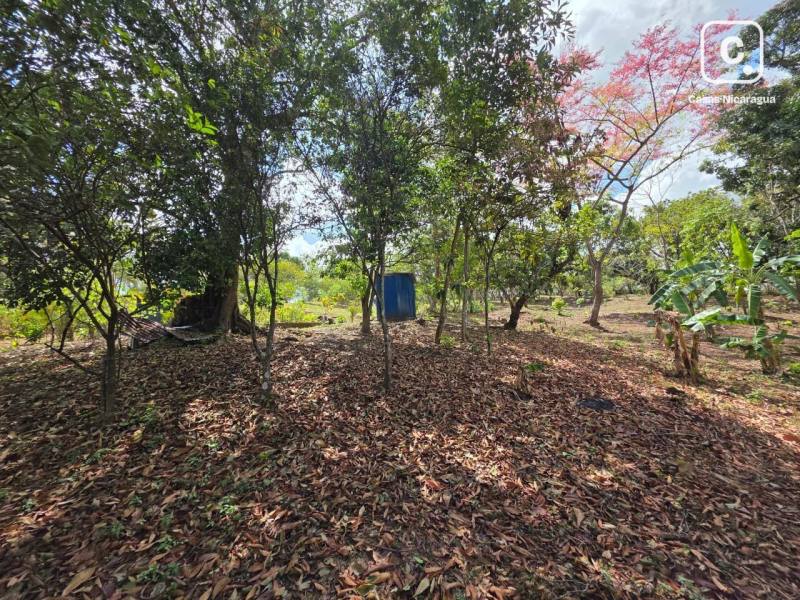 Local comercial en venta en Masaya – 11,663 varas²