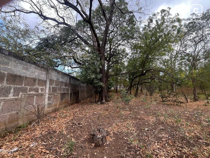 Terreno en venta en El Mayoreo, Managua – 1,213 varas²