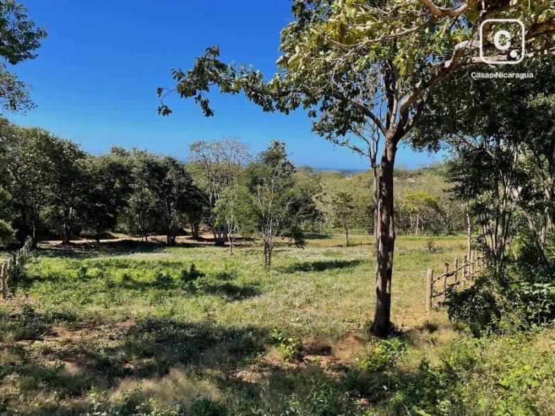 Casa en venta en Rivas – 2,290 m²
