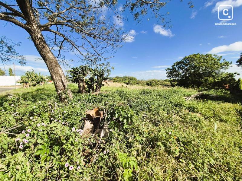 Casa en venta en Managua – 2,067 varas²