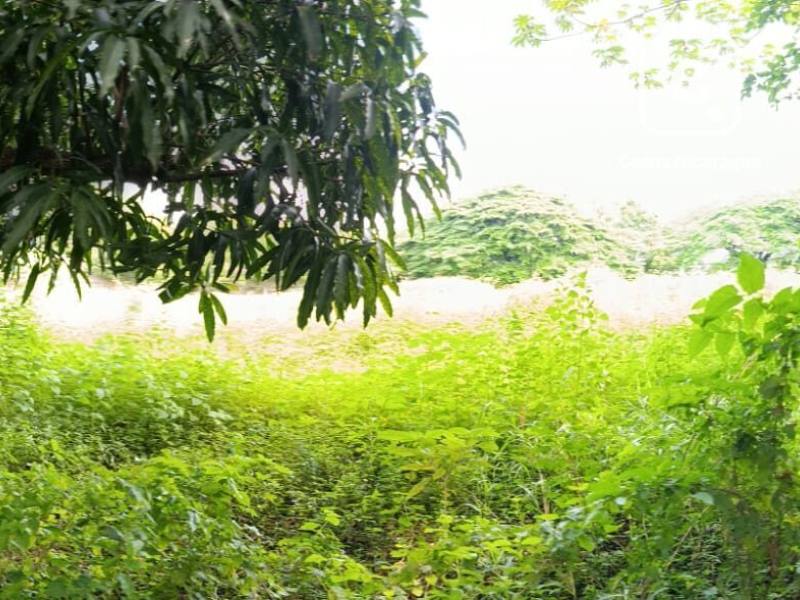 Casa en alquiler en Carretera Masaya, Managua – 7,050 m²