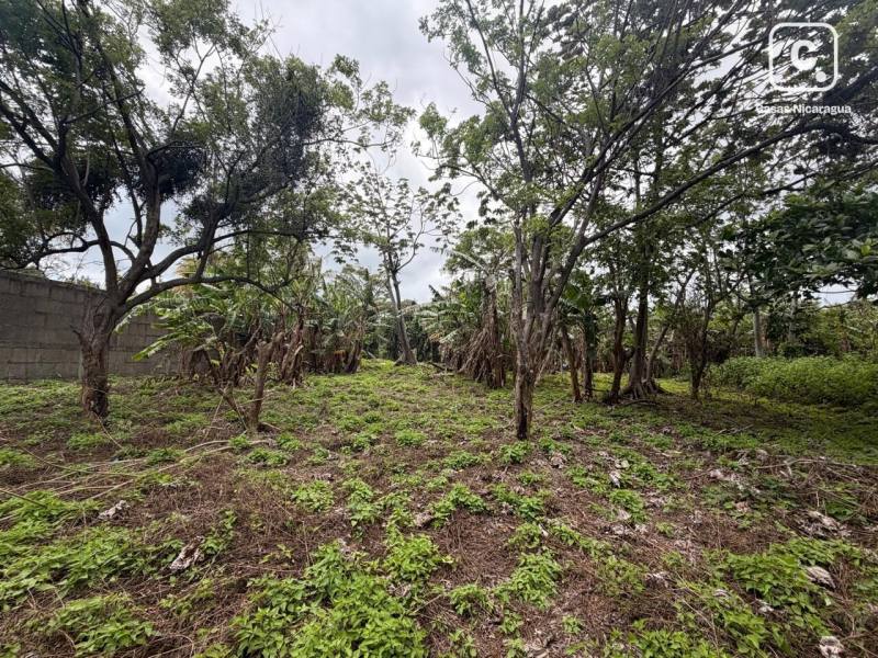 Terreno en venta en San Marcos, Carazo – 2,103 varas²