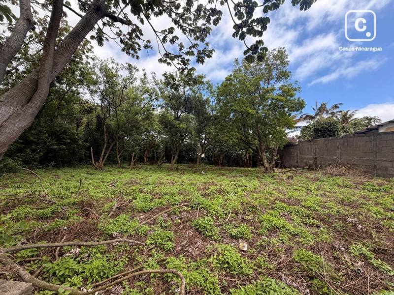 Terreno en venta en San Marcos, Carazo – 2,103 varas²