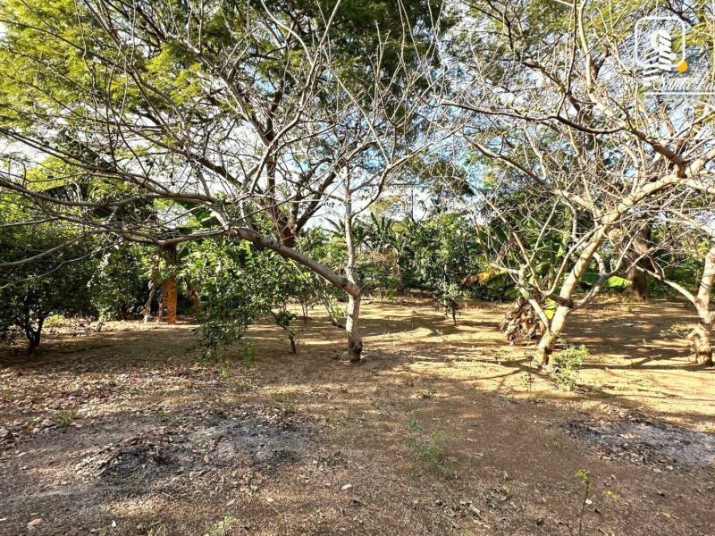 Terreno en venta en Las Colinas, Managua – US$ 1,475,000