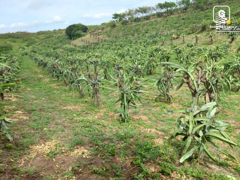 Terreno en venta en Carretera Sur, Managua