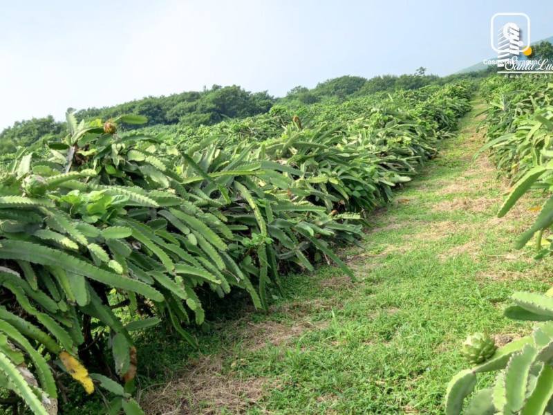 Terreno en venta en Carretera Sur, Managua