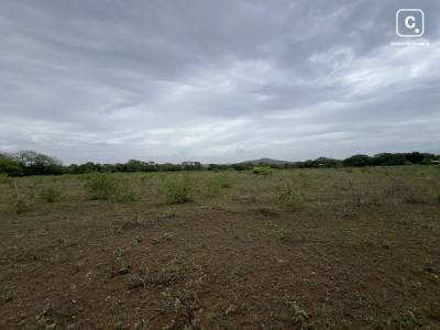Terreno en venta en Nindirí, Masaya – 19,532 varas²