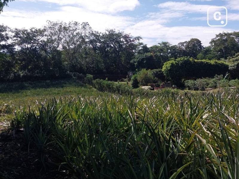 Terreno en venta en Santo Domingo, Managua – 2,509 m²