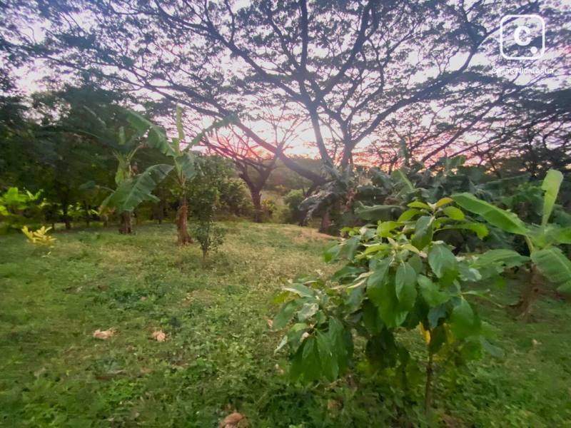 Casa en venta en Managua – 16,093 m²